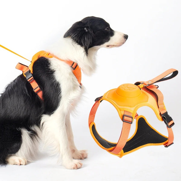 All-in-One Dog Harness with Retractable Lead