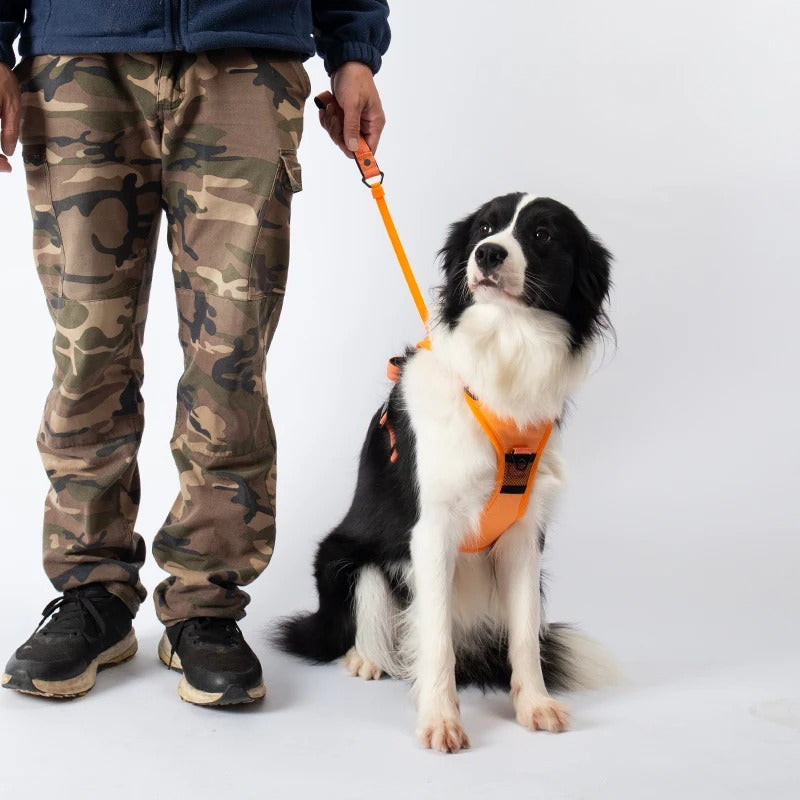 All-in-One Dog Harness with Retractable Lead